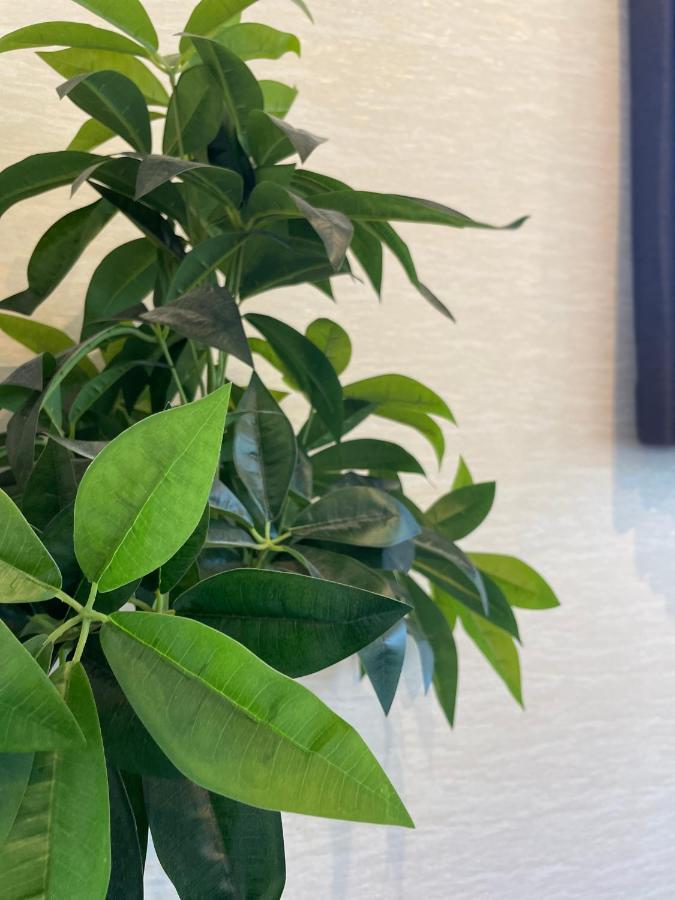 Niseko Hotel Kiraku Kou 외부 사진
